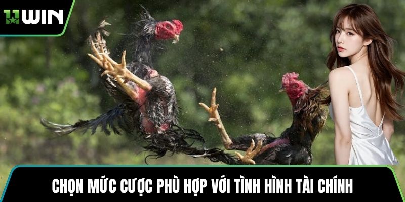 Chọn mức cược phù hợp với tình hình tài chính