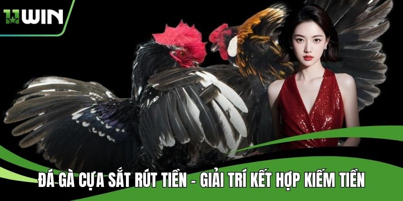 Đá Gà Cựa Sắt Rút Tiền - Giải Trí Kết Hợp Kiếm Tiền