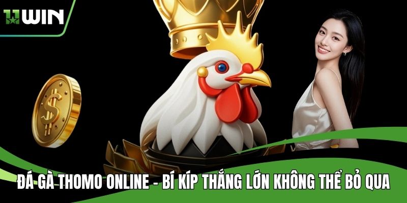 Đá Gà Thomo Online - Bí Kíp Thắng Lớn Không Thể Bỏ Qua